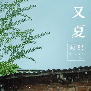 杨颖被❌到喷水18禁视频
