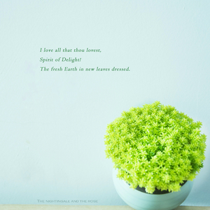 杨颖被❌到喷水18禁视频
